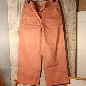 Everlane Orange Chinos Classic Cotton Blend